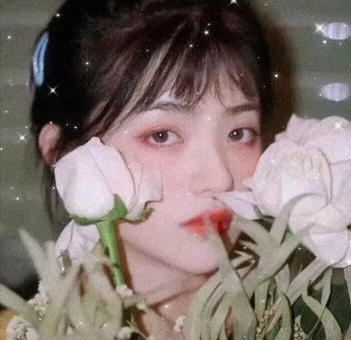 真情的代价