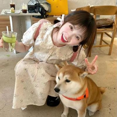 莲花