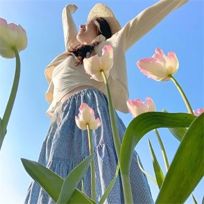 美洲风情